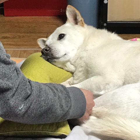 우리-애-아빠-보는-눈빛-봐-0-이미지