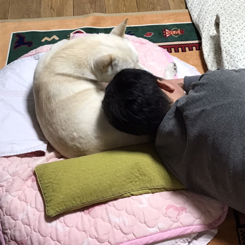 우리-애-아빠-보는-눈빛-봐-1-이미지