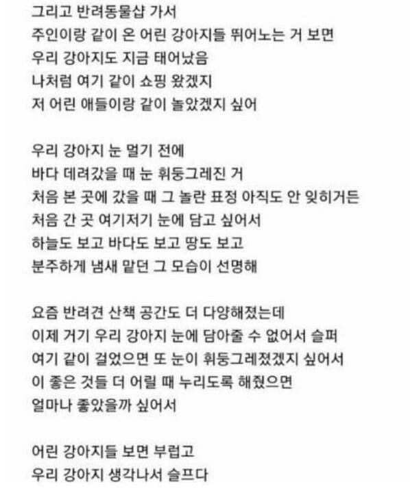 노견-키우면서-제일-미련-남는거.jpg-2-이미지