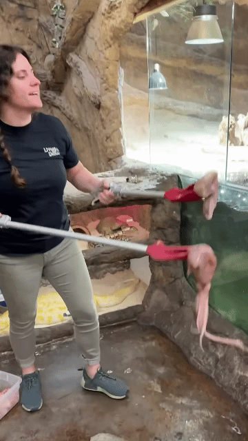 캘리포니아-동물원-조련사-1-이미지