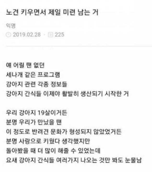 노견-키우면서-제일-미련-남는거.jpg-0-이미지