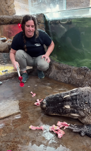 캘리포니아-동물원-조련사-3-이미지