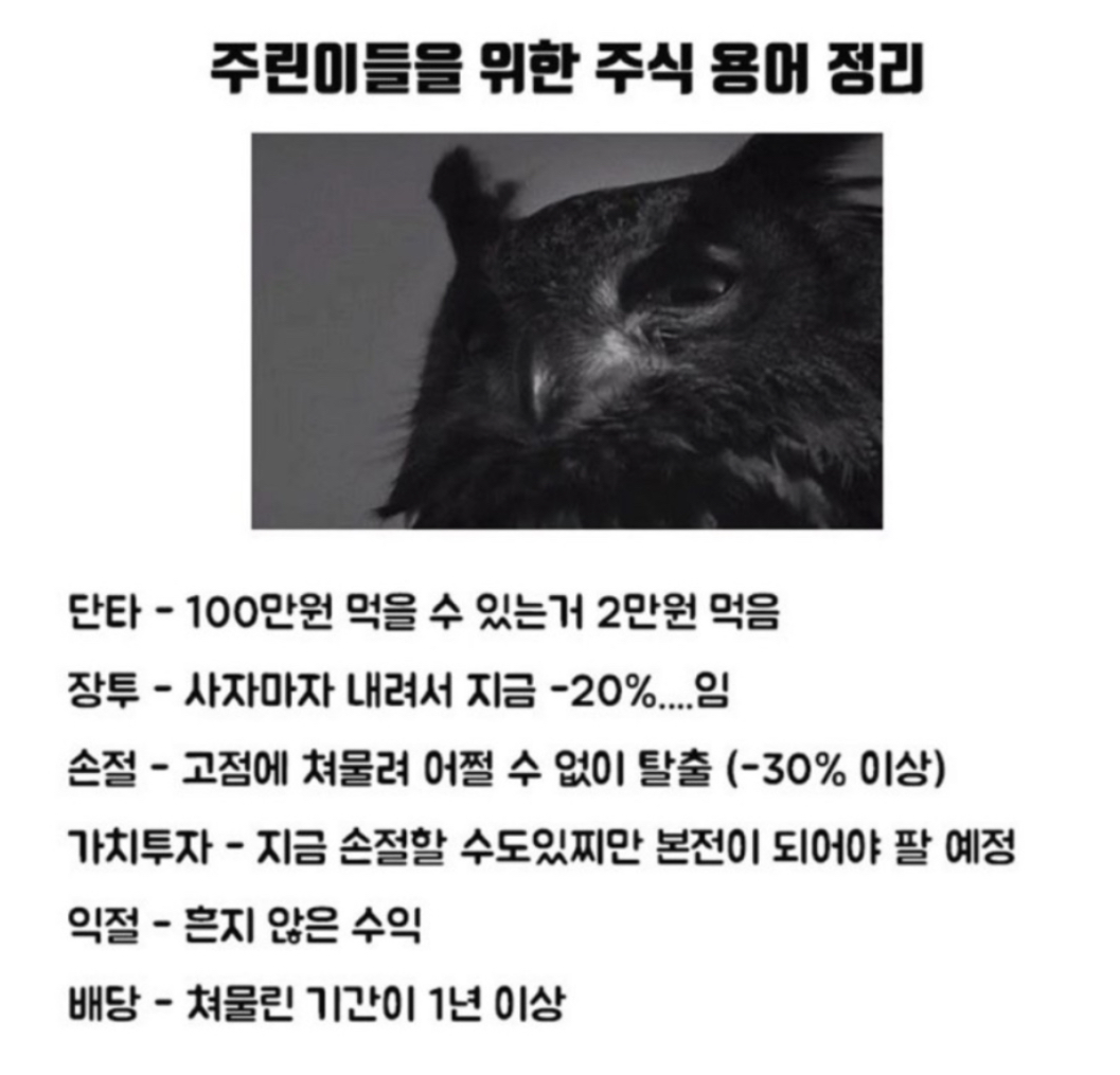 주린이를-위한-현실판-주식-용어-1-이미지