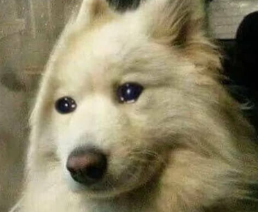 실제로는-시니컬,-무뚝뚝에-가까웠던-단종-성격-11-이미지