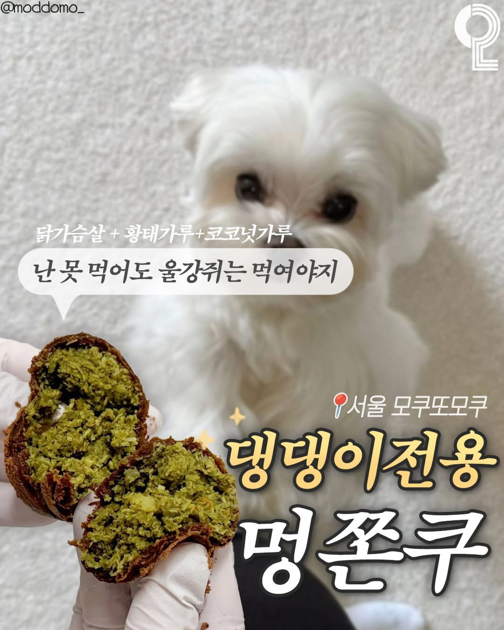 업글-되고-있는-두쫀쿠-7-이미지