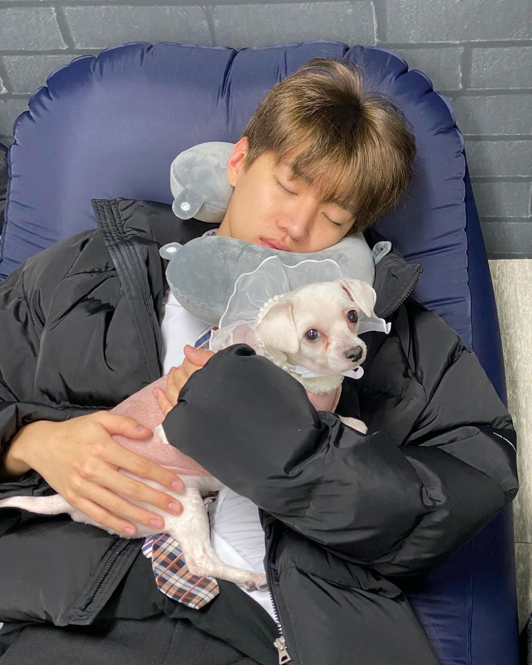 남자-아이돌-그룹이-유기견-보호소에서-7~8세-무렵-입양한-강아지-동댕글-근황-4-이미지