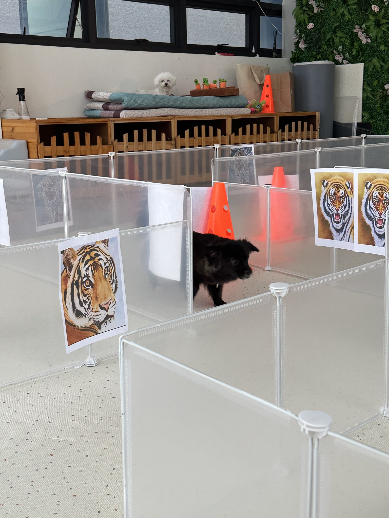 유치원에서-공포체험-햤을때ㅤㅤ결국-울어버림.twt-0-이미지