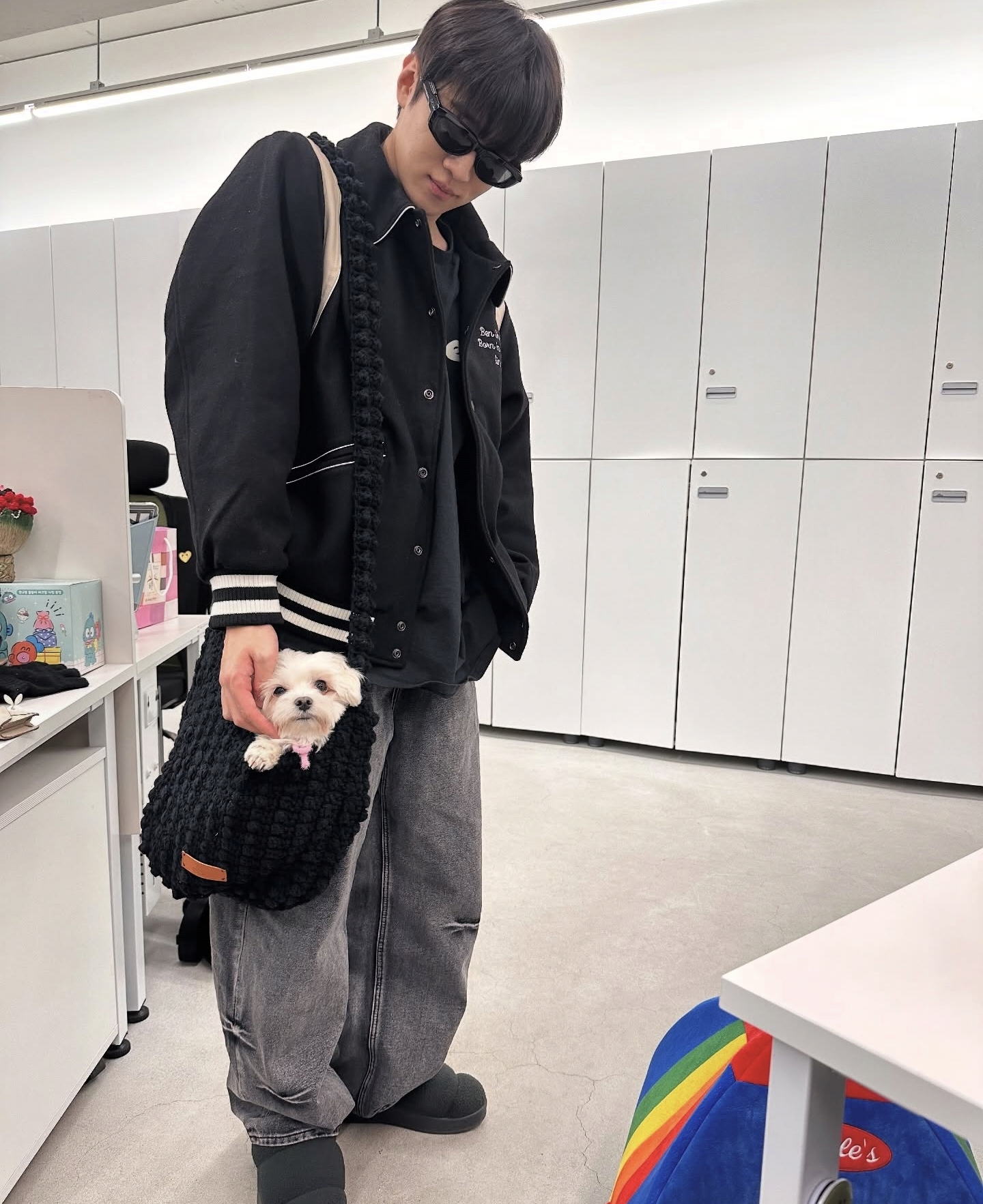 남자-아이돌-그룹이-유기견-보호소에서-7~8세-무렵-입양한-강아지-동댕글-근황-46-이미지