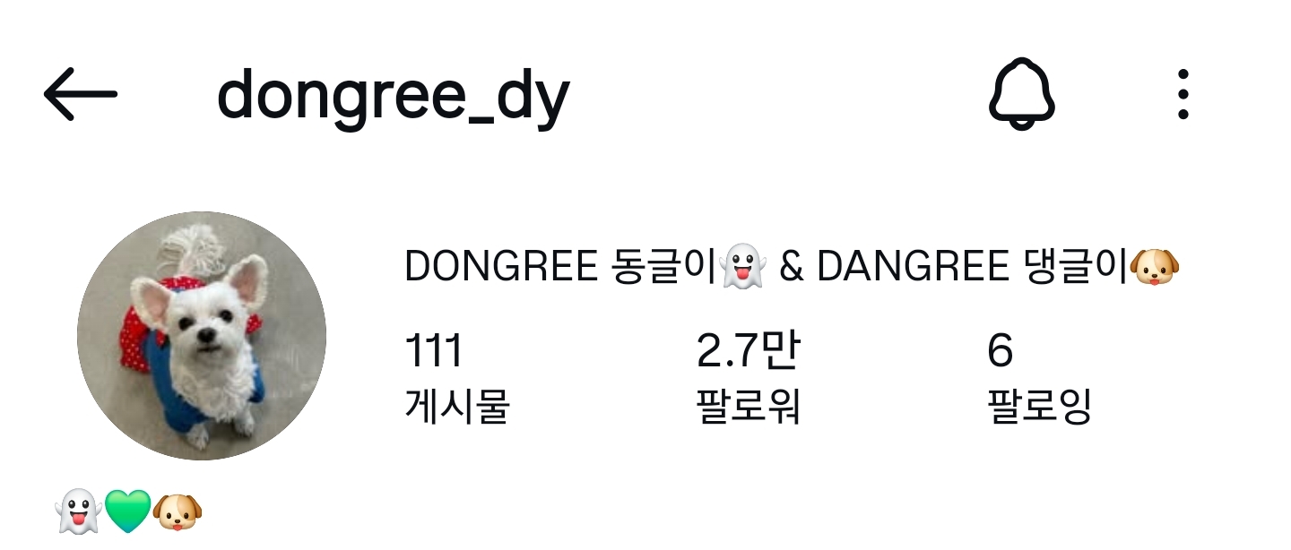 남자-아이돌-그룹이-유기견-보호소에서-7~8세-무렵-입양한-강아지-동댕글-근황-0-이미지