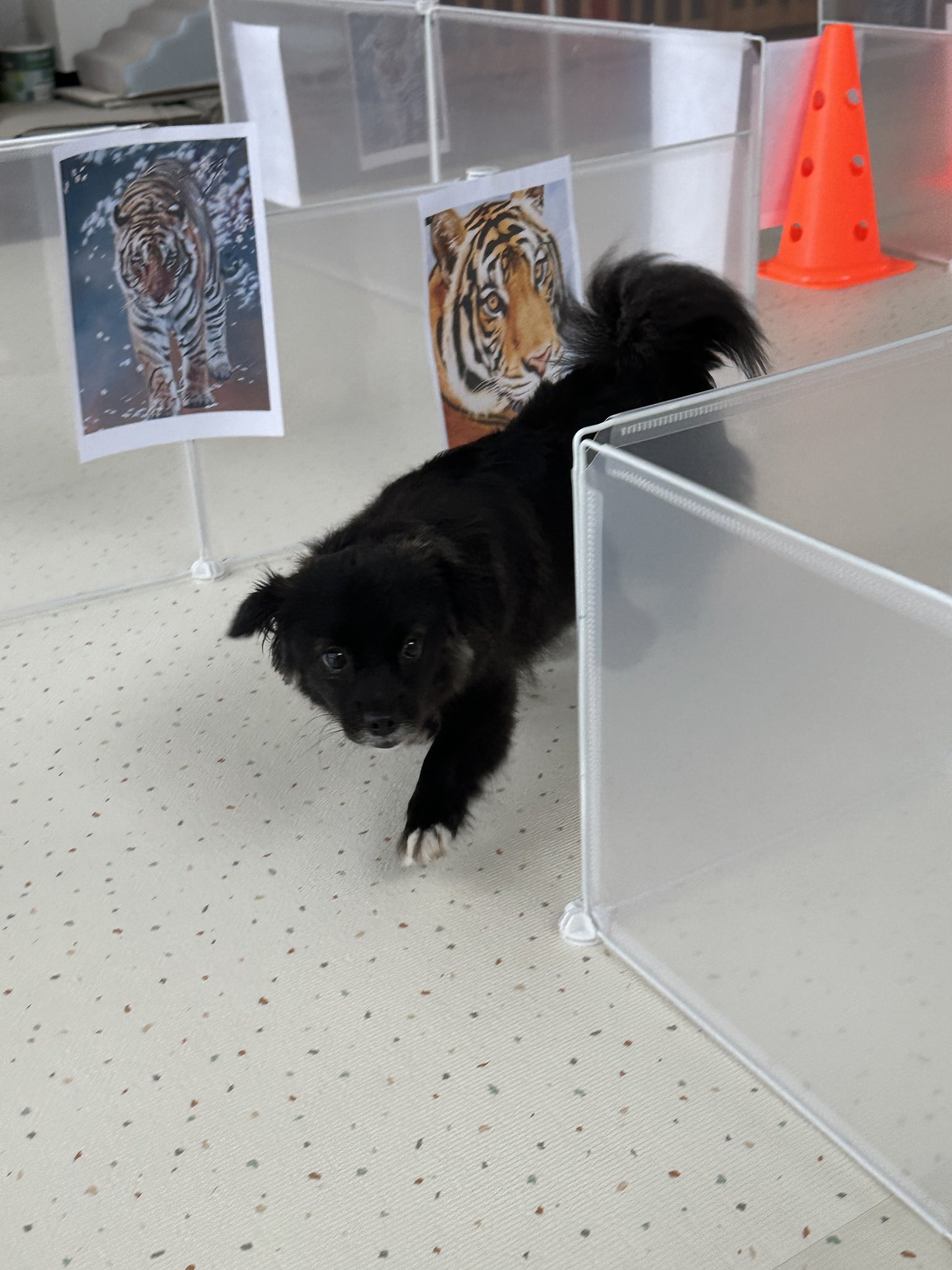 유치원에서-공포체험-햤을때ㅤㅤ결국-울어버림.twt-1-이미지