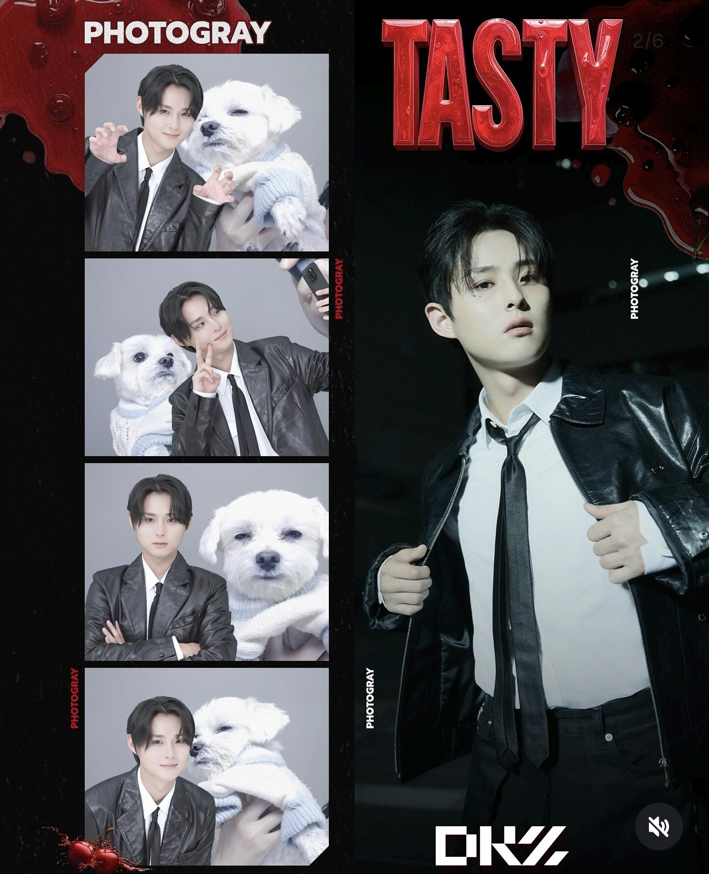 남자-아이돌-그룹이-유기견-보호소에서-7~8세-무렵-입양한-강아지-동댕글-근황-50-이미지