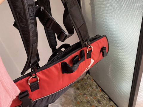 보행장애-대형견과의-마지막-1년-42-이미지