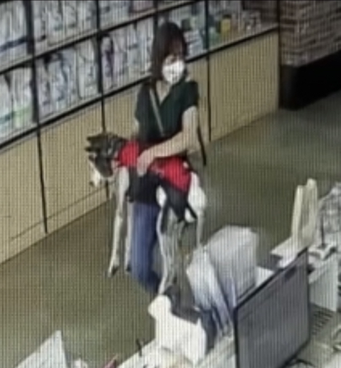 보행장애-대형견과의-마지막-1년-58-이미지