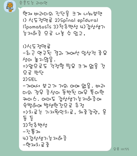 보행장애-대형견과의-마지막-1년-45-이미지