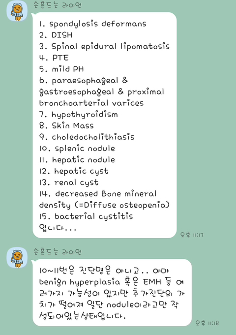 보행장애-대형견과의-마지막-1년-46-이미지