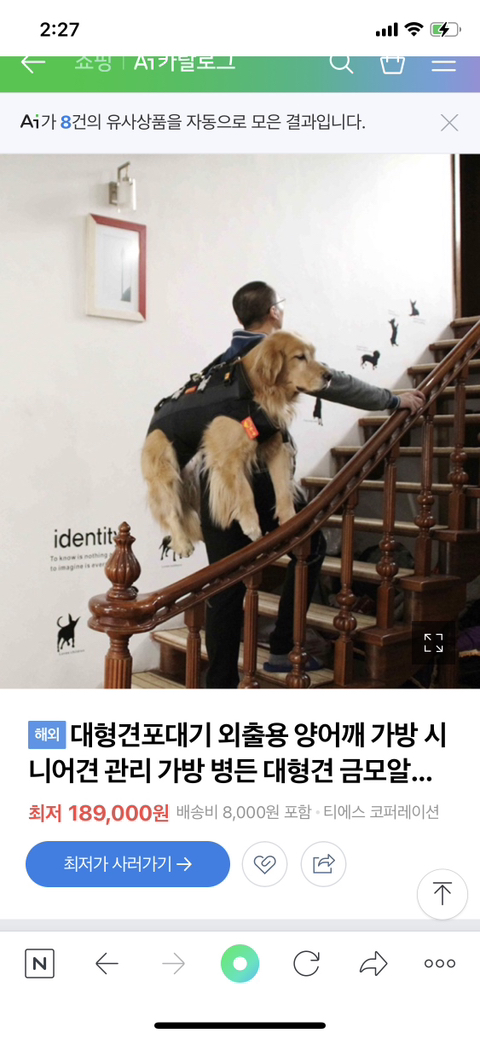 보행장애-대형견과의-마지막-1년-41-이미지