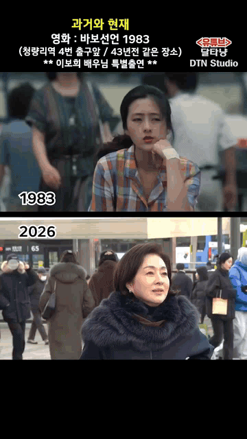 43년-전-같은-장소를-찾아간-이보희-ㄷㄷㄷ-3-이미지