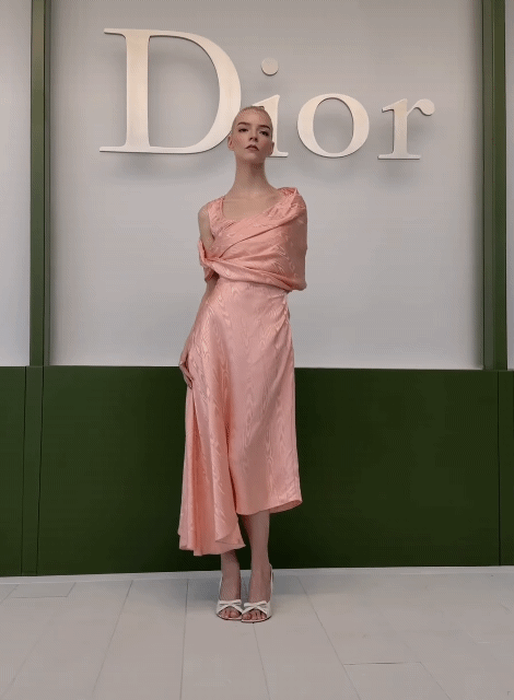 디올쇼에-참석한-블랙핑크-지수-9-이미지