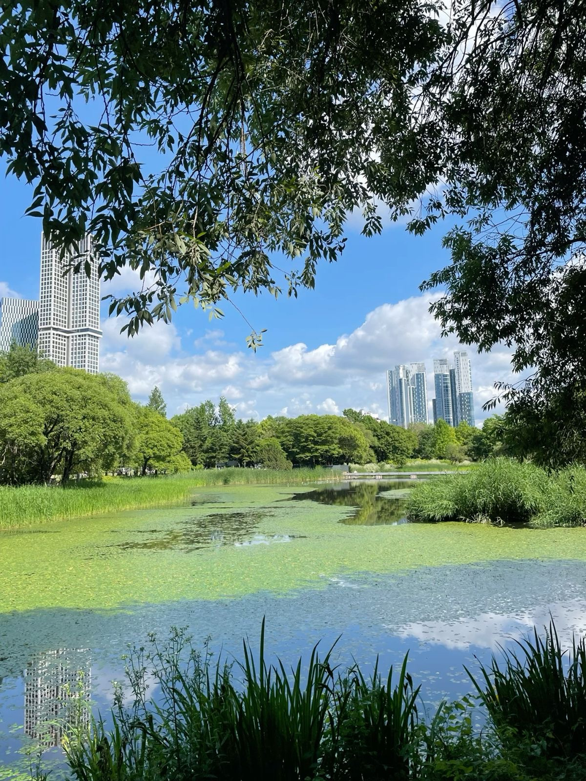 외국인들-서울오면-전부-강북에만-몰려있음-18-이미지