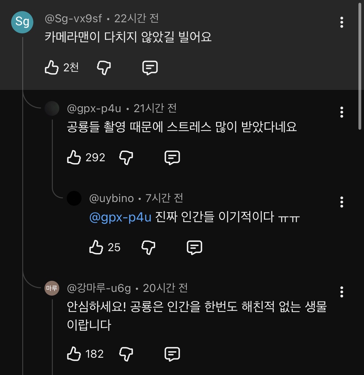 제작진들이-목숨걸고-찍었다는-개봉-예정-다큐멘터리-4-이미지