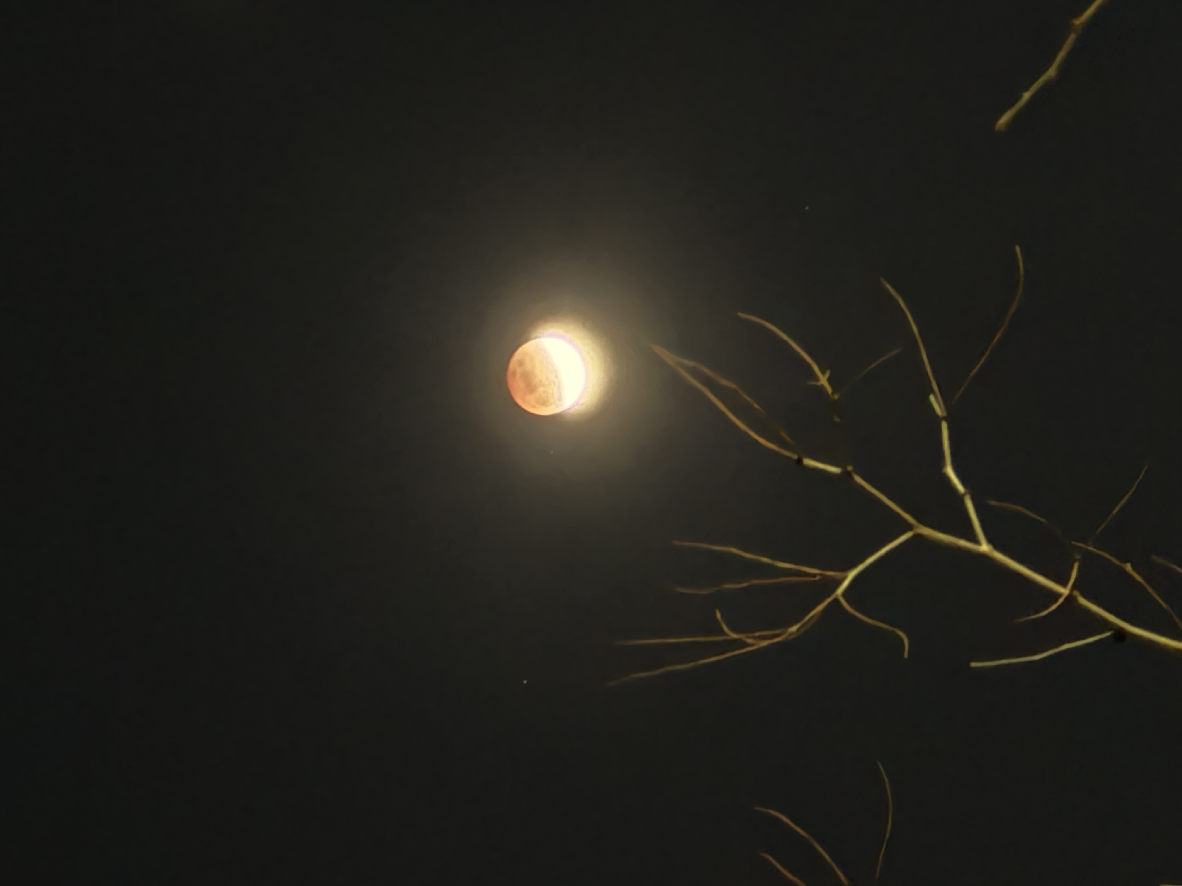 오늘-개인이-직접-찍은-개기-월식-10-이미지