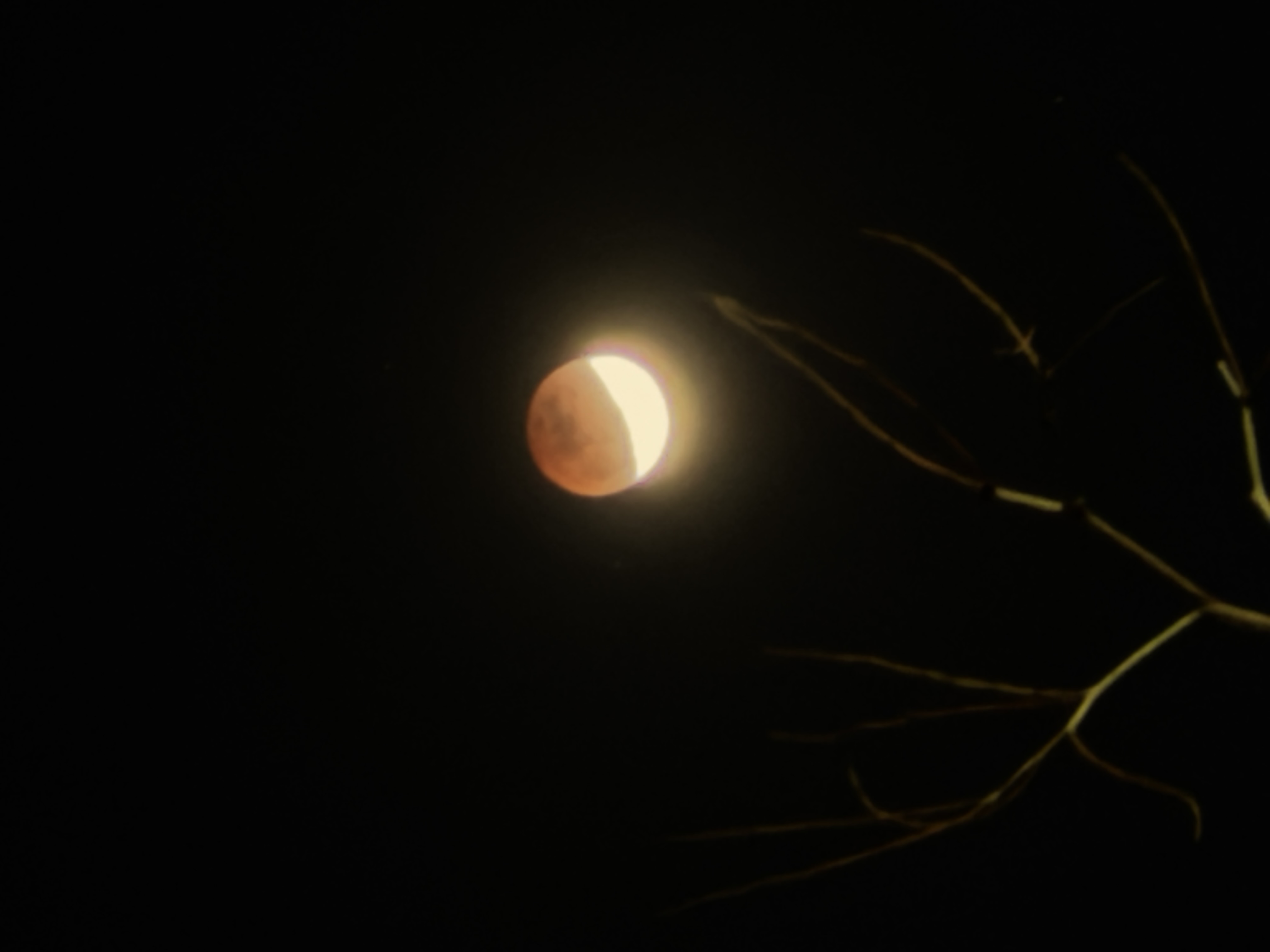 오늘-개인이-직접-찍은-개기-월식-7-이미지