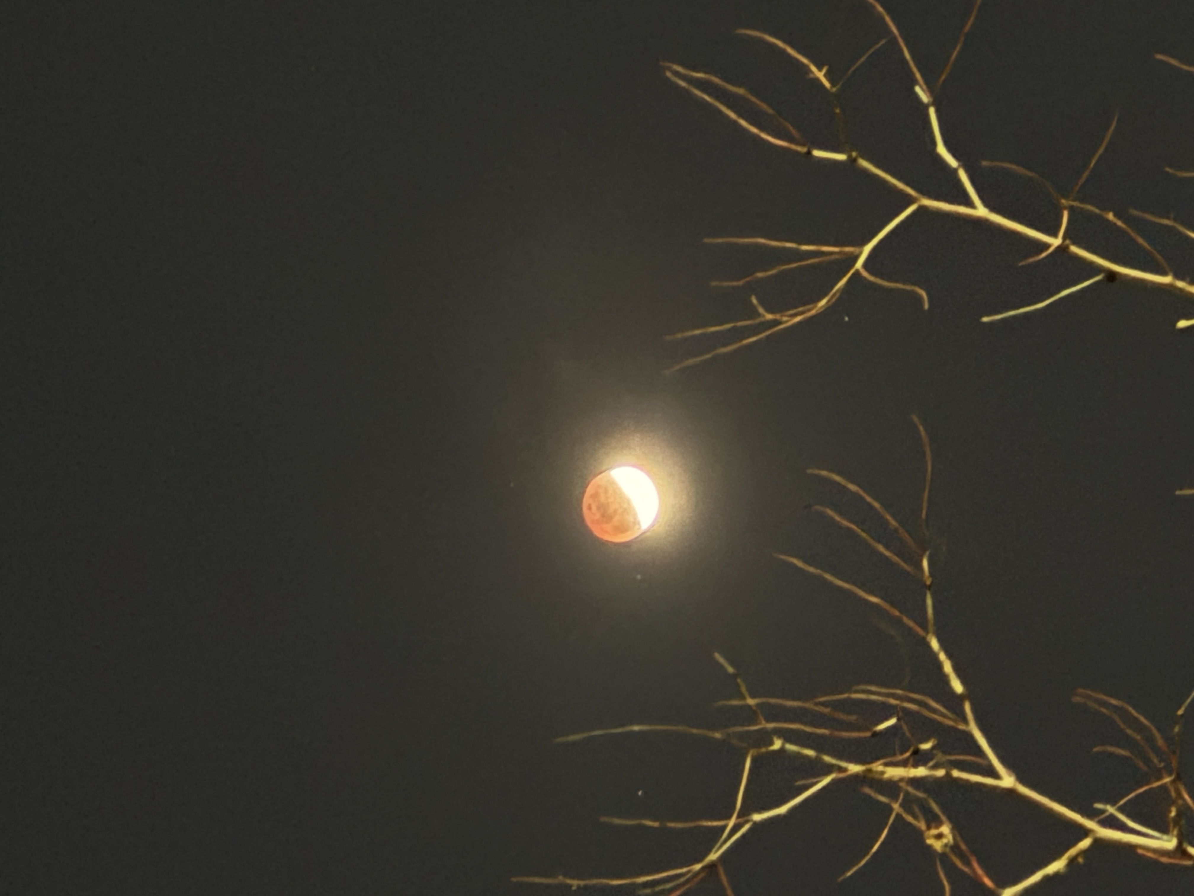 오늘-개인이-직접-찍은-개기-월식-1-이미지