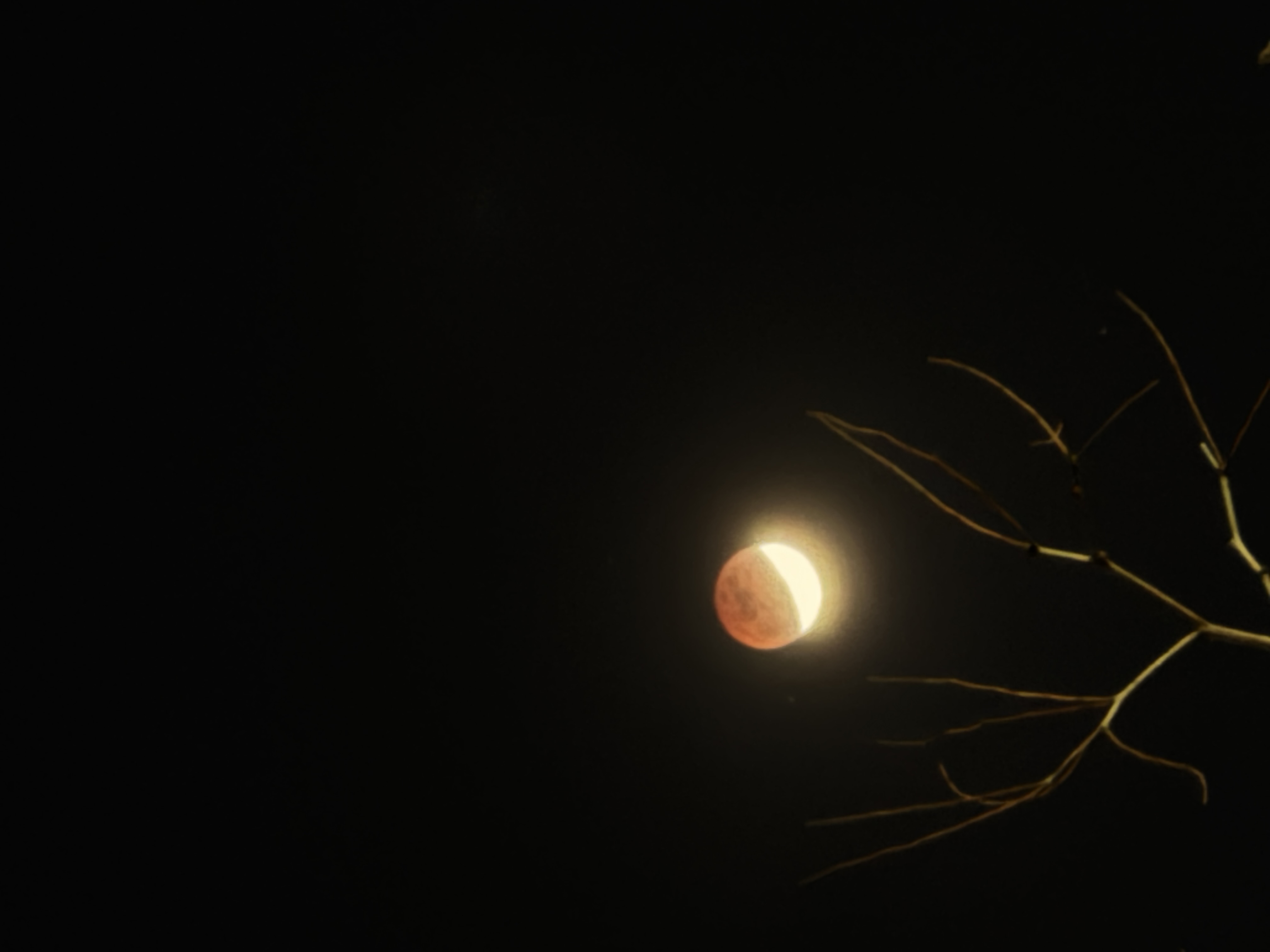 오늘-개인이-직접-찍은-개기-월식-4-이미지