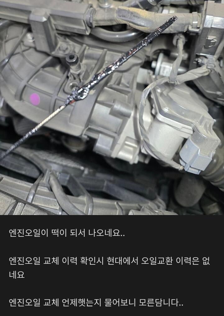6만키로에-퍼진-현대-팰리세이드-ㄷㄷ.jpg-1-이미지