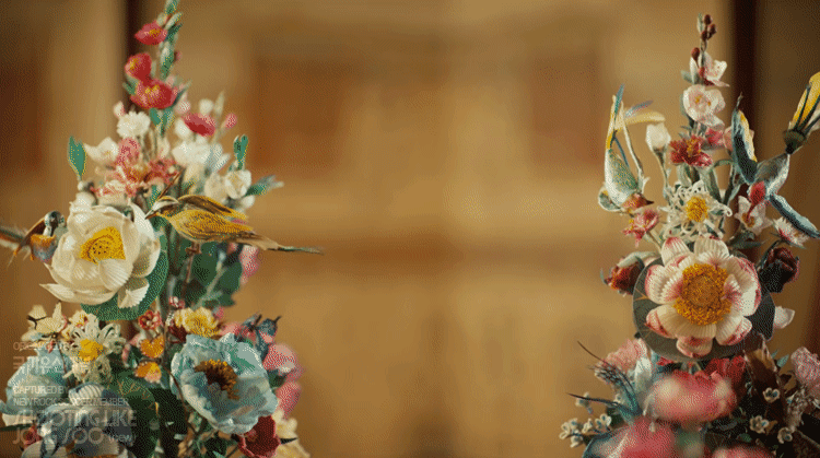 국가유산채널-:-중국유산으로-오해받던-가장-화려한-우리-유산,-궁중채화-8-이미지