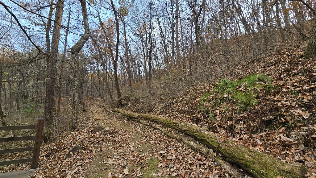 등산은-부담스럽고-산은-가보고싶을때-추천하는-＜용인자연휴양림＞-⛰️산림치유🌳-3-이미지