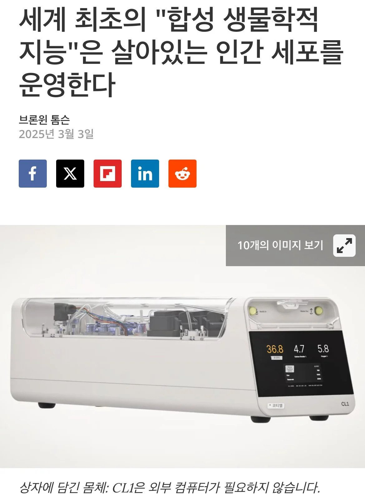 세계-최초-"통속의-뇌"-구현-0-이미지