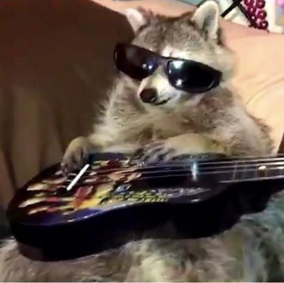 락페를-위해-통일을-했으면-좋겠는-달글-0-이미지