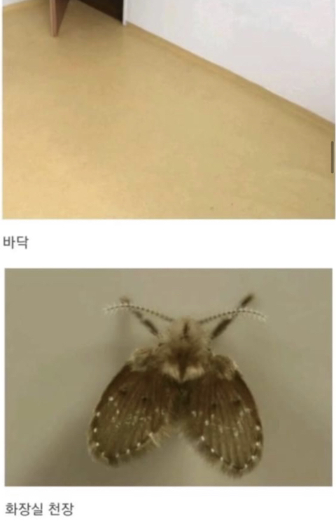 오래된-집-살아본-사람이라면-100%-공감-3-이미지