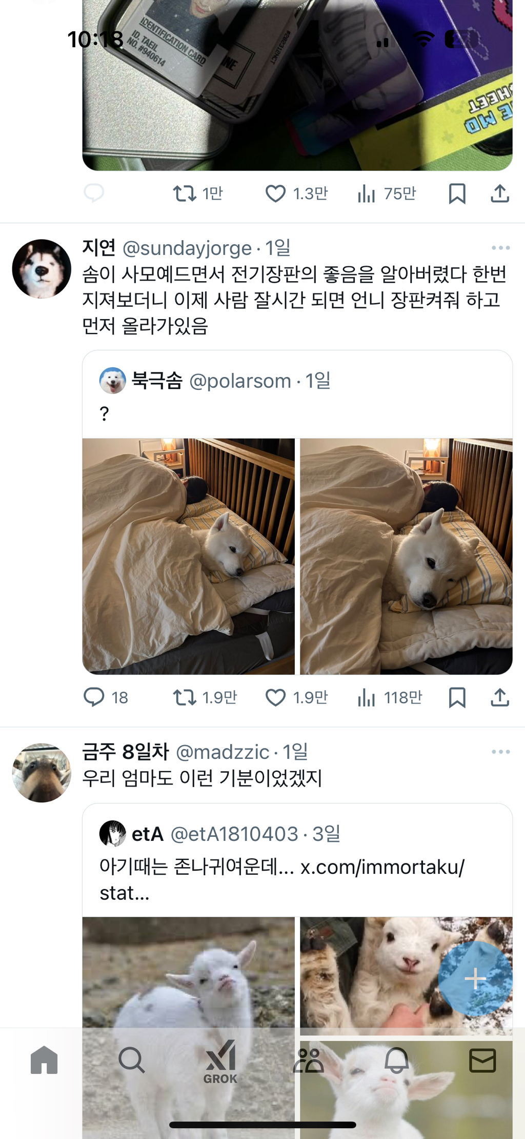 전기장판의-좋음을-알아버렸다-0-이미지