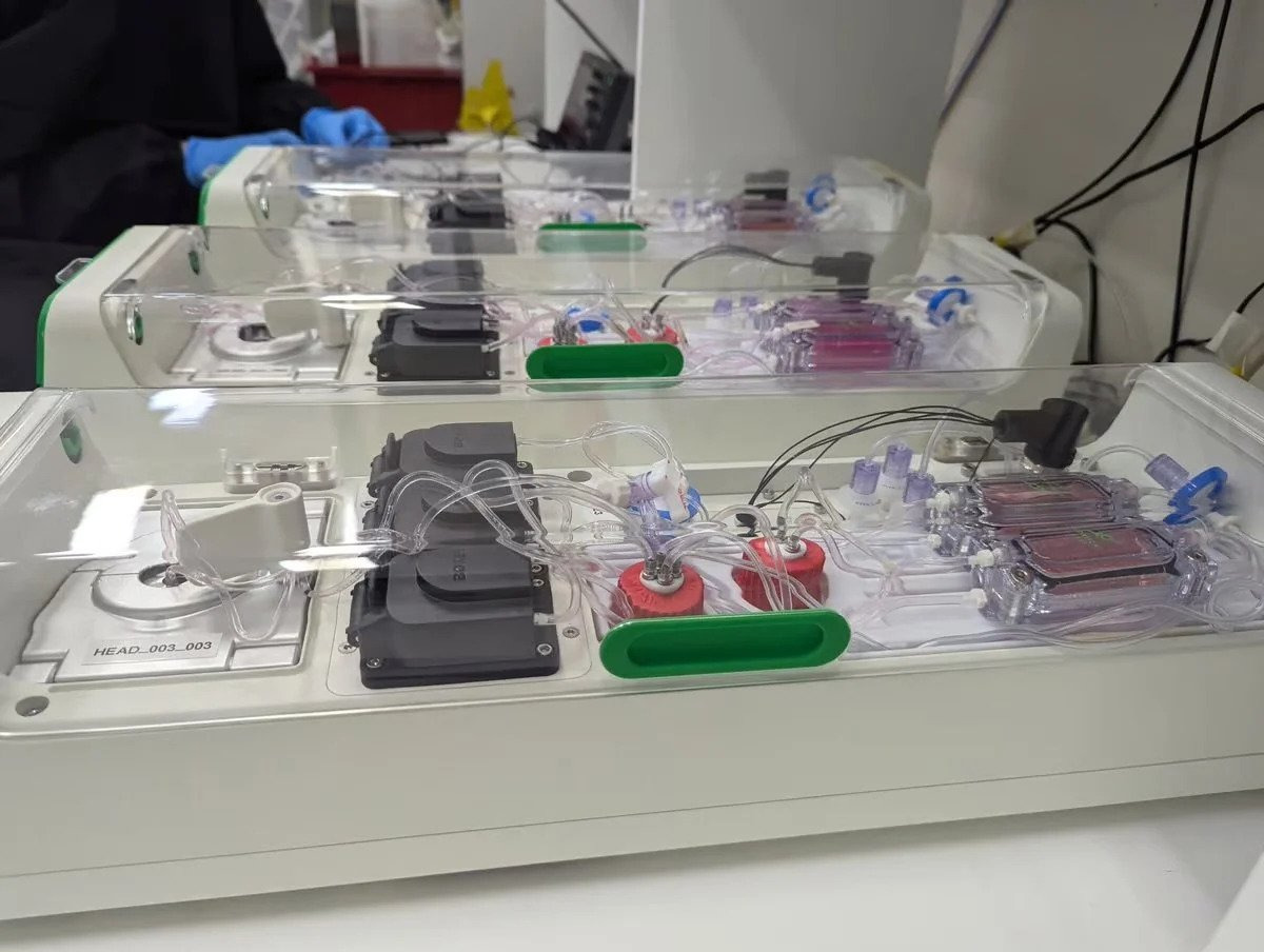 세계-최초-"통속의-뇌"-구현-4-이미지