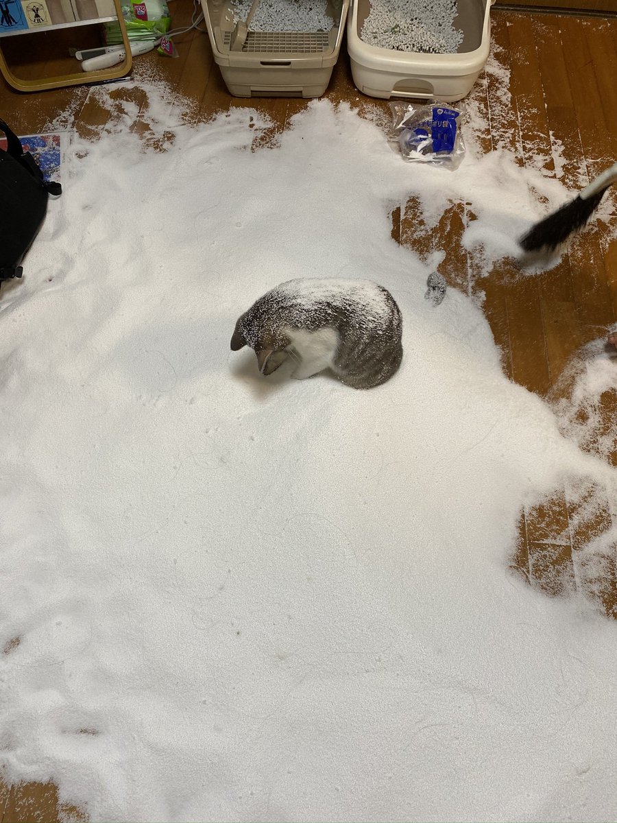 대형-사고-쳐놓고-비련의-주인공인-척하네-0-이미지