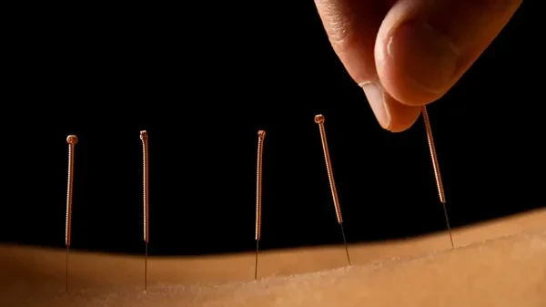 얼음-속에서-5000년-넘게-잠들어-있던-미라-이야기-9-이미지