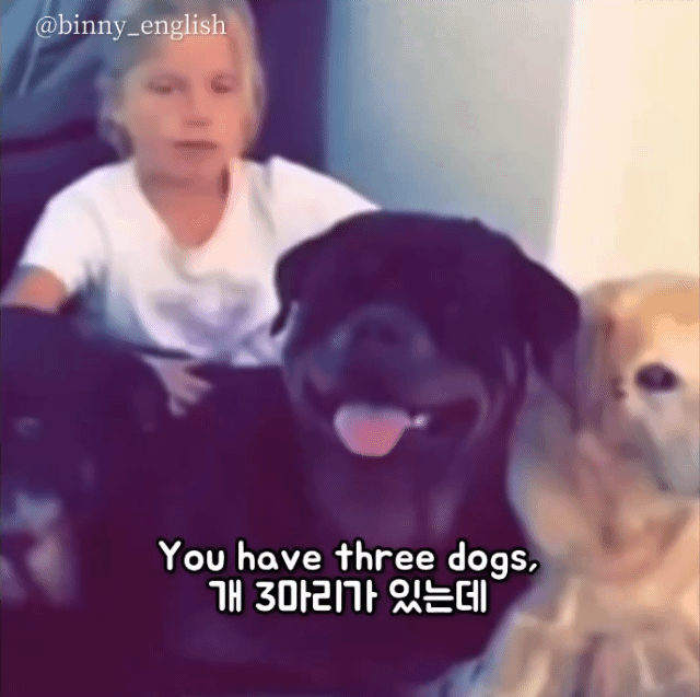 강아지-3마리가-있는데-2마리를-빼앗겼어-몇마리-남았어?-0-이미지