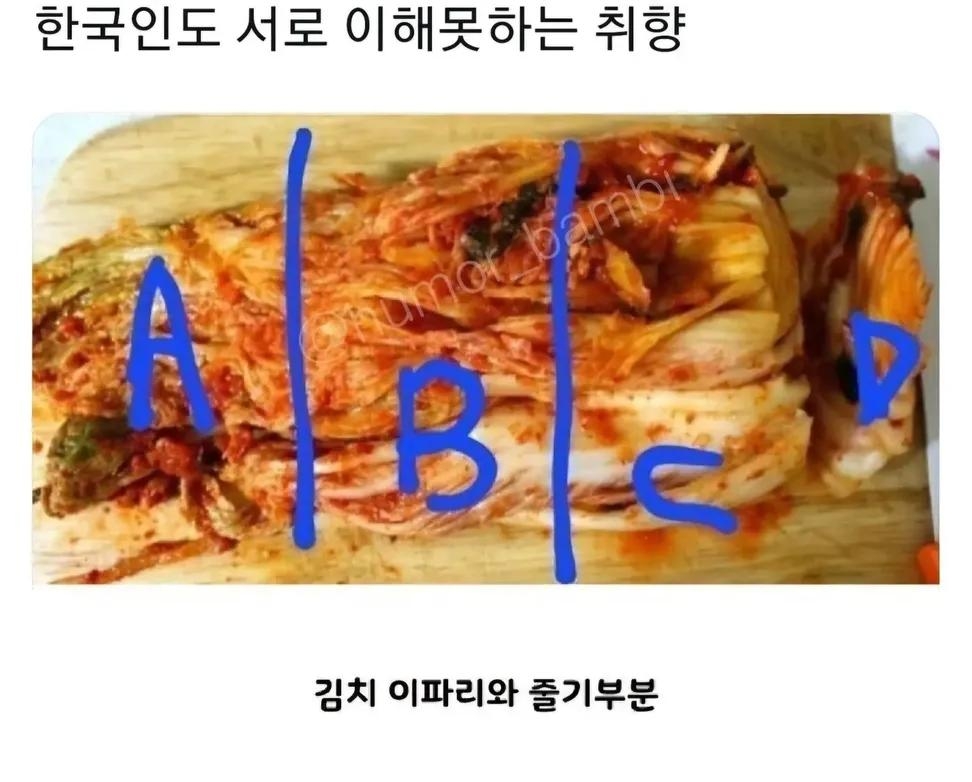 한국인도-서로-이해-못하는-김치-취향-0-이미지