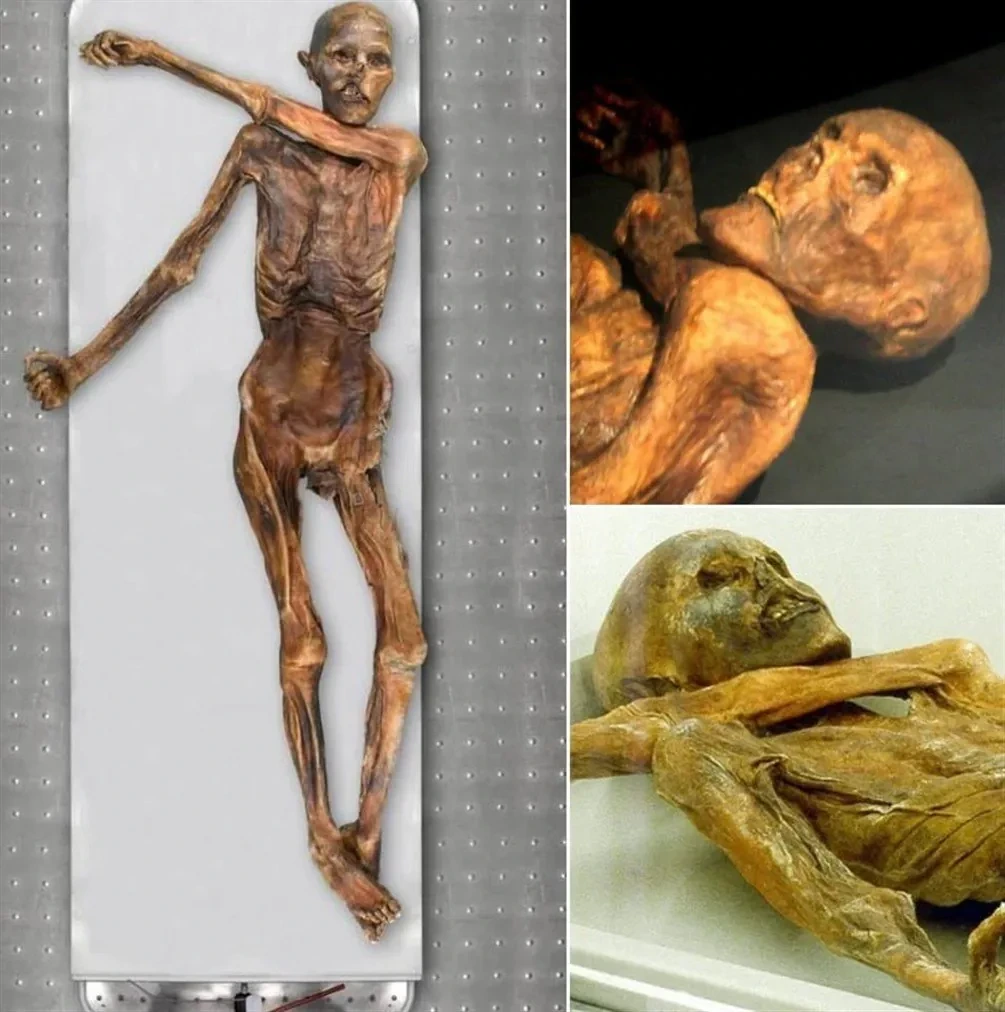얼음-속에서-5000년-넘게-잠들어-있던-미라-이야기-6-이미지