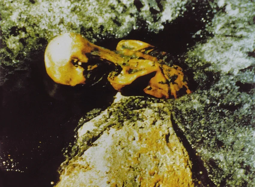 얼음-속에서-5000년-넘게-잠들어-있던-미라-이야기-2-이미지