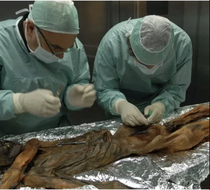 얼음-속에서-5000년-넘게-잠들어-있던-미라-이야기-7-이미지