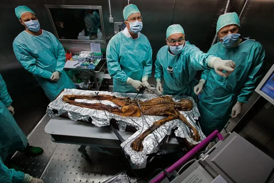 얼음-속에서-5000년-넘게-잠들어-있던-미라-이야기-8-이미지