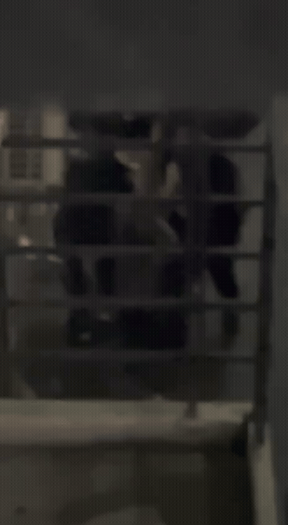 잘-안알려진-동남아-최악의-범죄단지,-KK공원에-대한-이야기-3-이미지