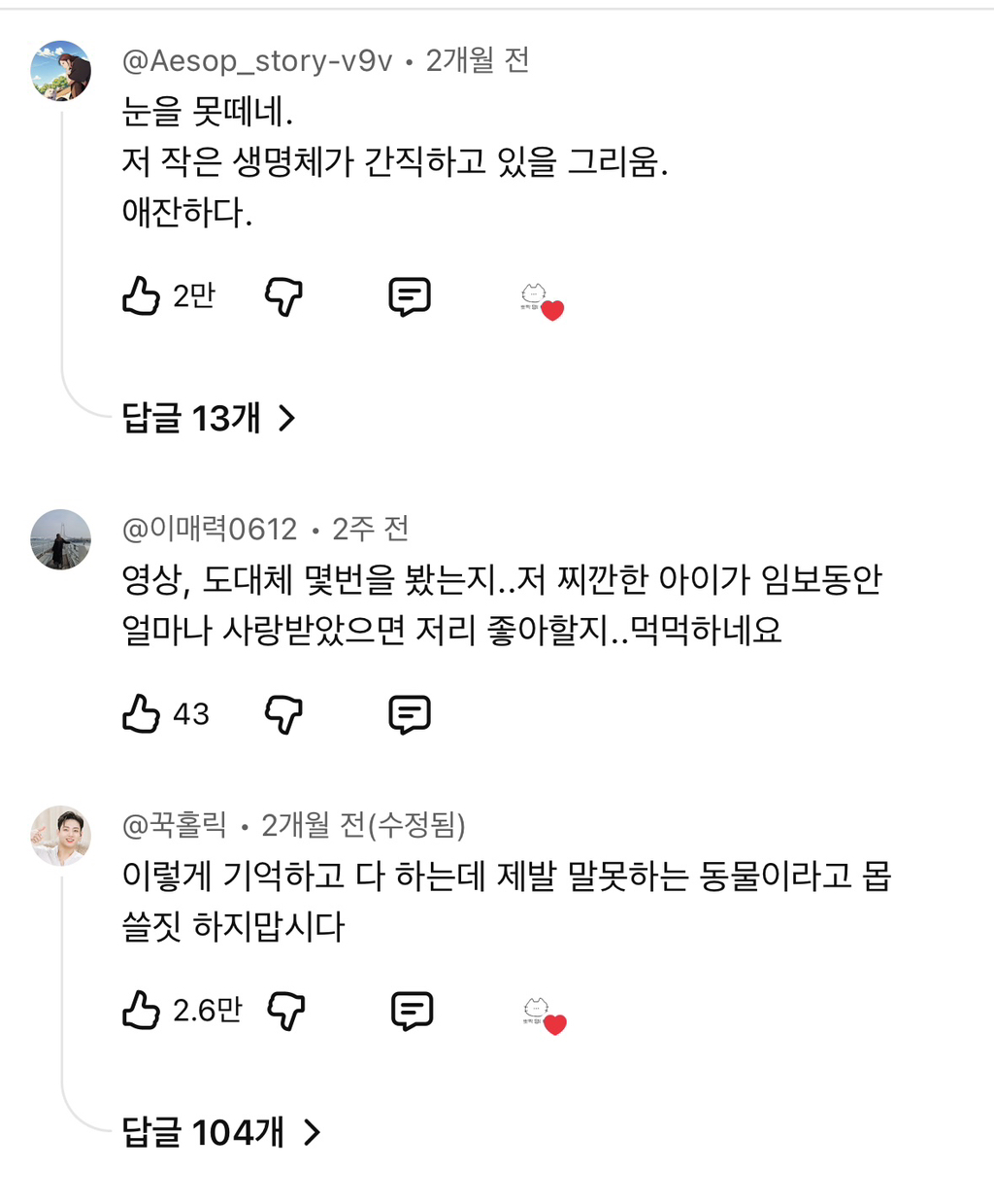 1년만에-만난-임보자를-알아볼까?-1-이미지