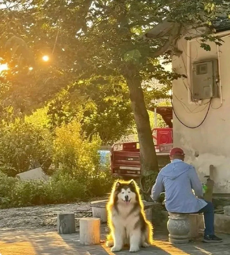 레딧서-핫한-사진-한장-1-이미지