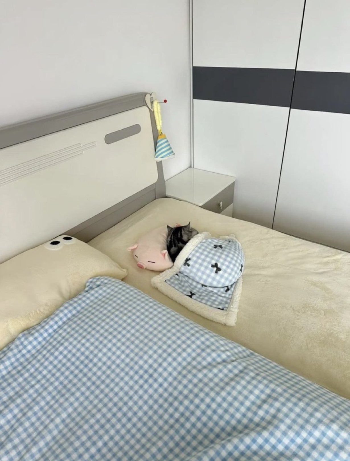 엄마한테-"고양이는-잘-지내?"라고-물어보니-보내준-사진-0-이미지