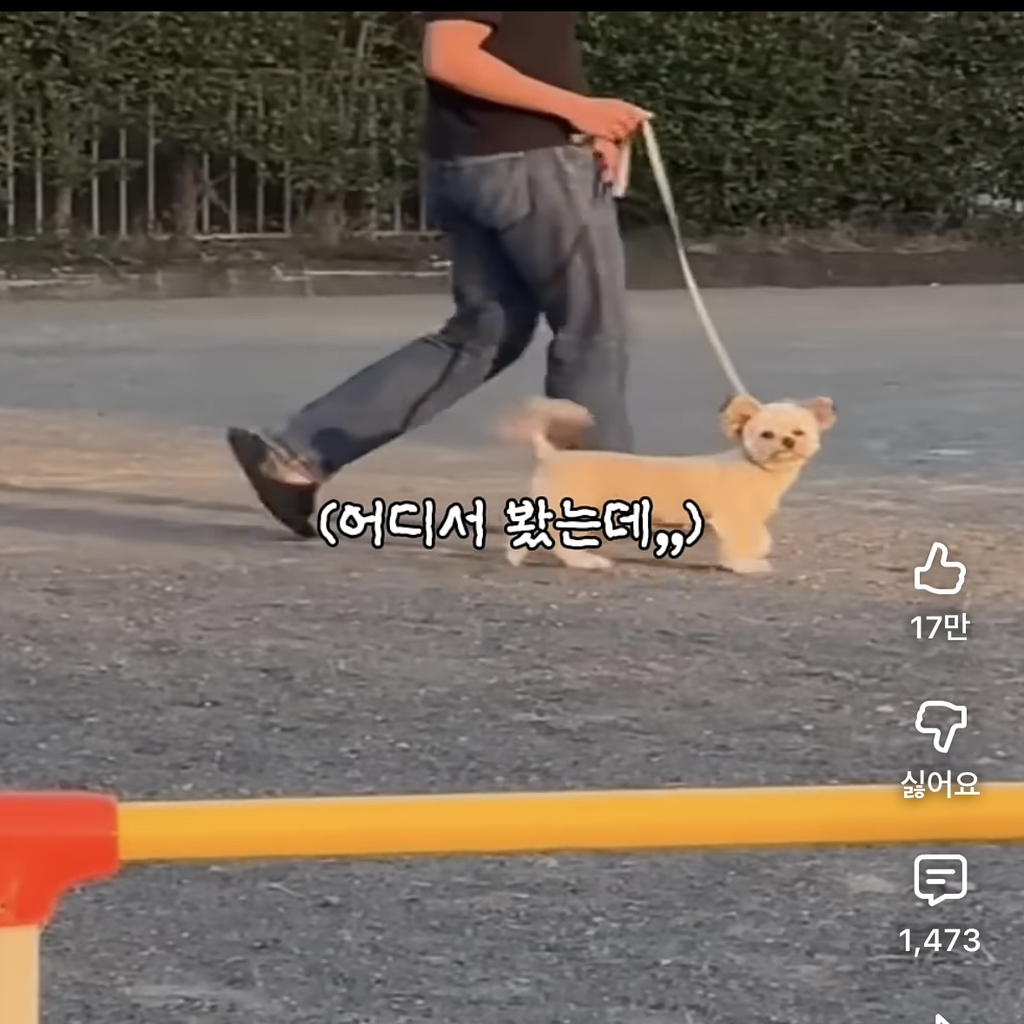 1년만에-만난-임보자를-알아볼까?-0-이미지