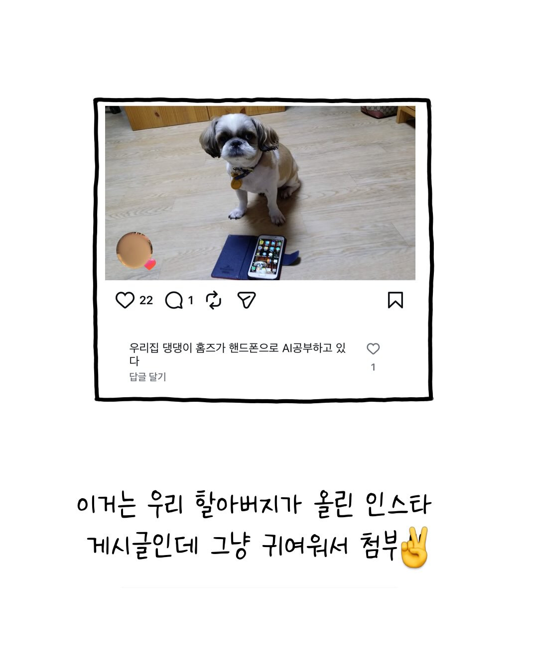 어느날-인스타-게시글에-내-신상이-담긴-댓글이-달렸다-15-이미지